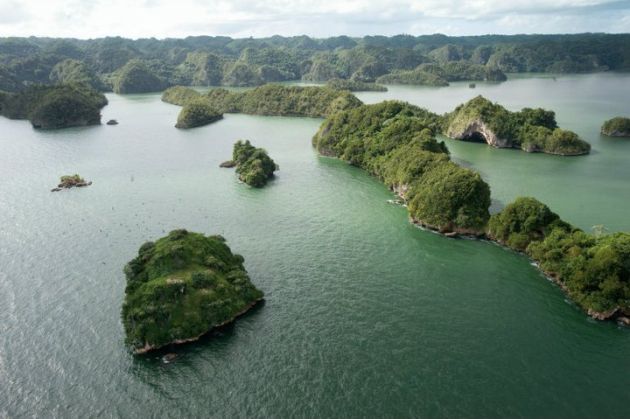 Parque Nacional Los Haïtises Samaná